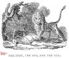 whittingham_lion_ass_fox