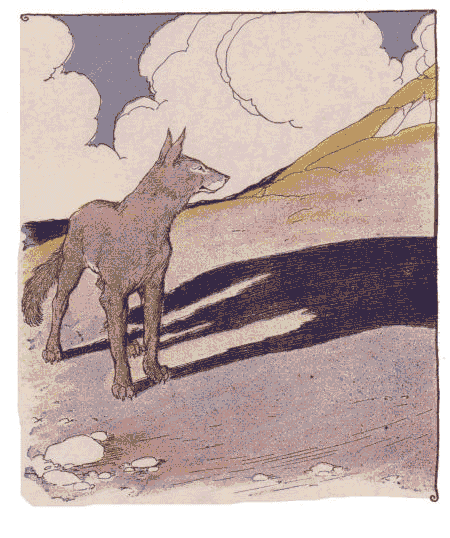 The Wolf and his Shadow