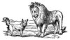 The_Fox_and_the_Lion_2