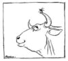 Rackham-gnat_and_bull