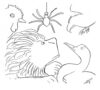 Thurber Illustration